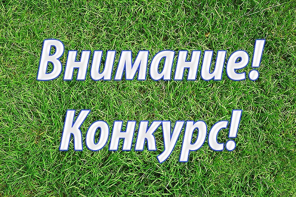 Смотр-конкурс на звание  «Лучшая усадьба», «Лучший цветник».