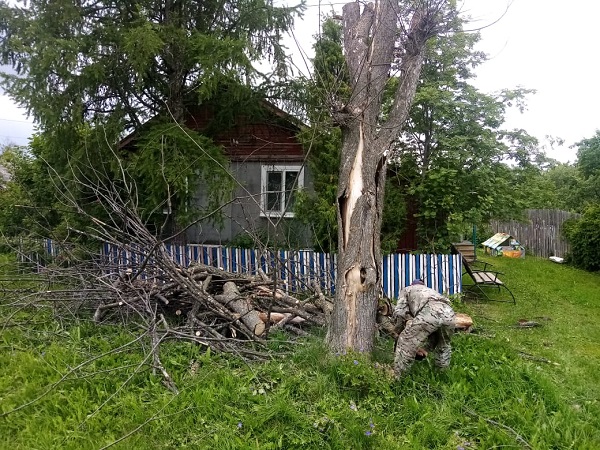 Спиливание сухого дерева в д.Синие Гари.